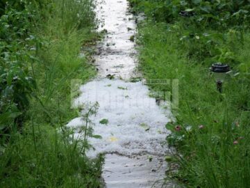 Grindina căzută în Suceava