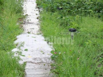 Grindina căzută în Suceava