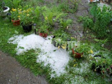 Grindina căzută în Suceava
