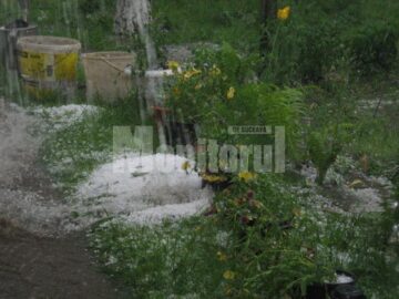 Grindina căzută în Suceava