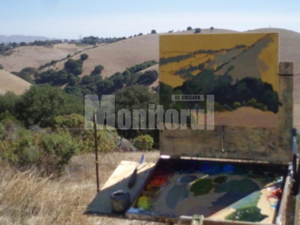 Tabăra de artă platică "Lumina Nordului"