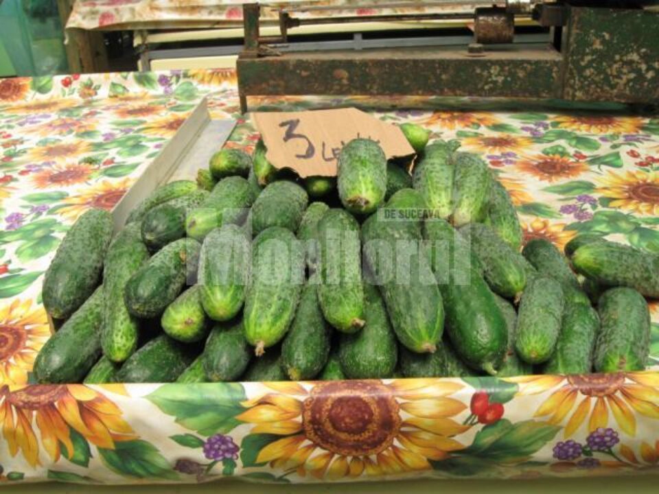 Mai multe țări europene au raportat cazuri de infectare cu bacteria E-coli în urma consumului de legume crude, provenite din Spania, mai exact roșii, castraveți și salată verde