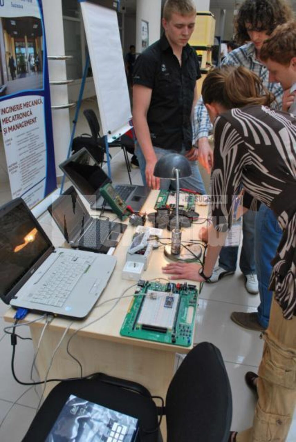 Prezentarea publică a lucrărilor