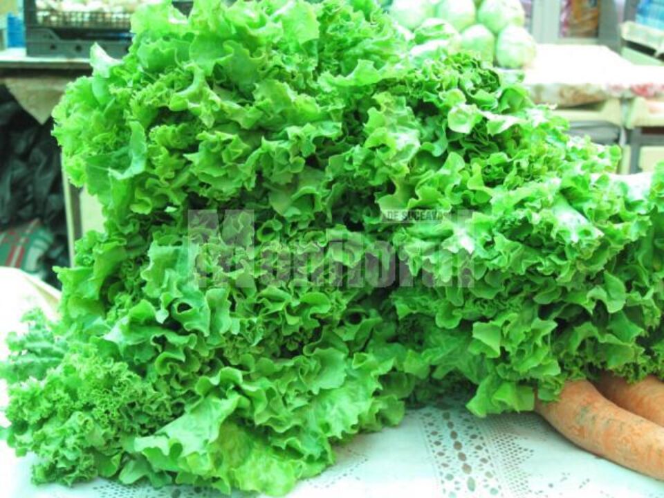 Mai multe țări europene au raportat cazuri de infectare cu bacteria E-coli în urma consumului de legume crude, provenite din Spania, mai exact roșii, castraveți și salată verde