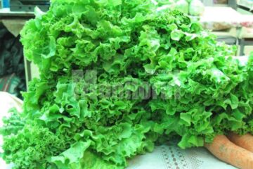 Mai multe țări europene au raportat cazuri de infectare cu bacteria E-coli în urma consumului de legume crude, provenite din Spania, mai exact roșii, castraveți și salată verde