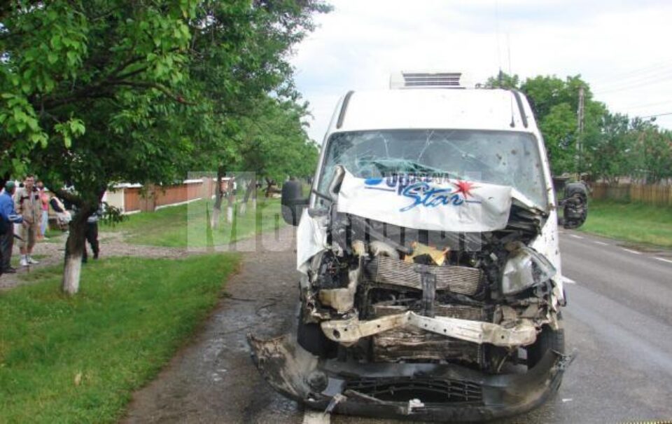 Microbuzul a intrat în plin într-o turmă de vaci