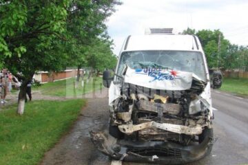 Microbuzul a intrat în plin într-o turmă de vaci
