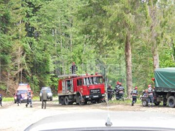 Mobilizare de forte