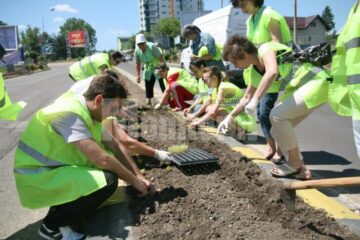 Acțiune de ecologizare și înfrumusețare la intrarea în Suceava dinspre Fălticeni