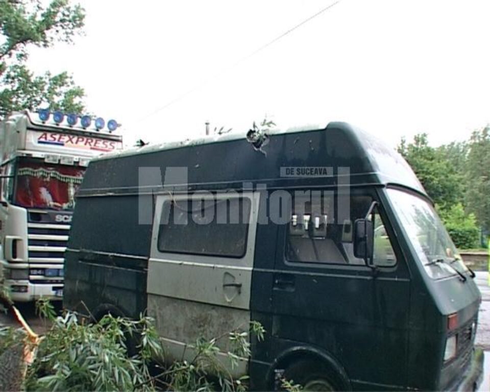 Un copac s-a rupt și a căzut peste un camion staționat într-o parcare și peste un microbuz