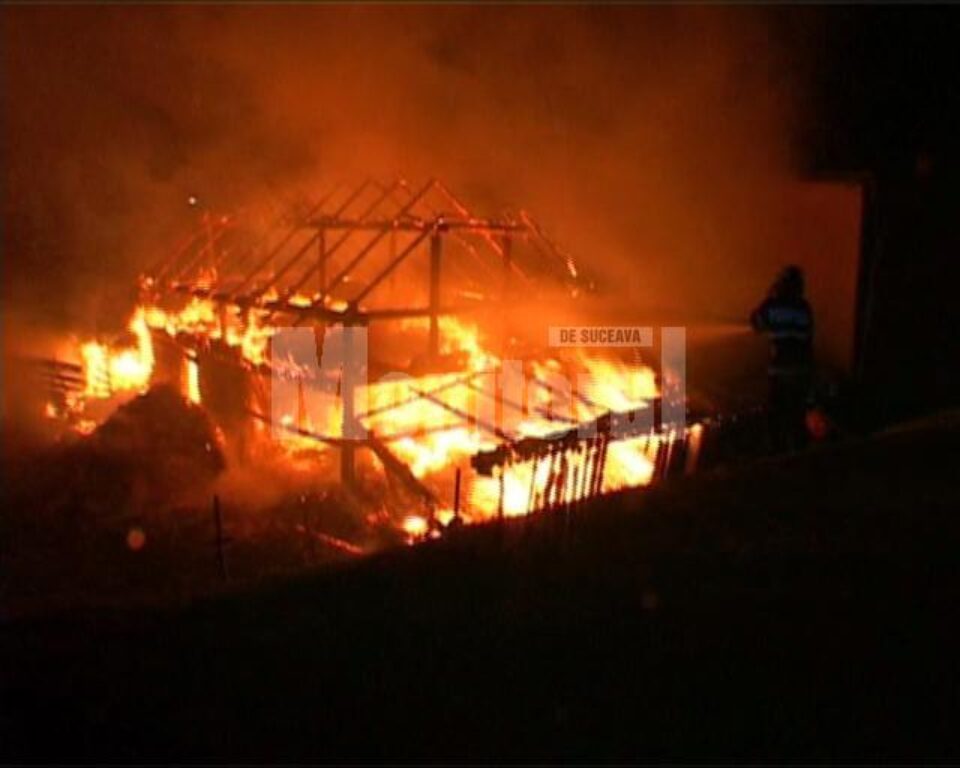 Incendiu devastator la o gospodărie din Vama
