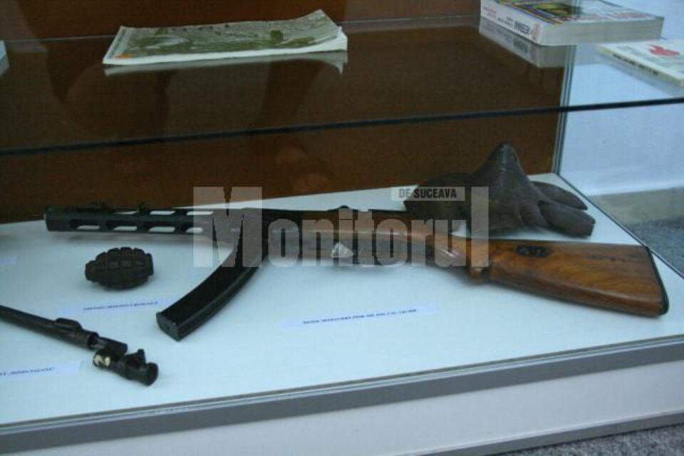 Arme prezentate în expoziție (1)
