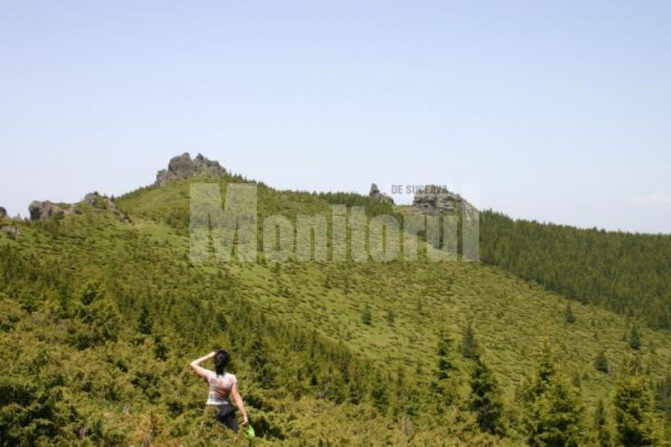 Turiștii care pleacă pe traseele montane sunt sfătuiți să-și ia toate măsurile de siguranță Turiștii care pleacă pe traseele montane sunt sfătuiți să-și ia toate măsurile de siguranță
