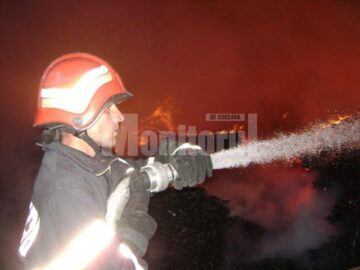 Incendiu devastator la Forestfalt Fălticeni