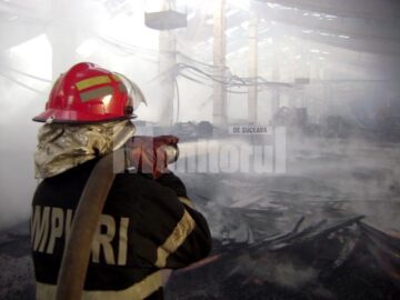Incendiu devastator la Forestfalt Fălticeni