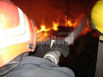 Incendiu devastator la Forestfalt Fălticeni