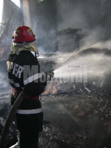 Incendiu devastator la Forestfalt Fălticeni