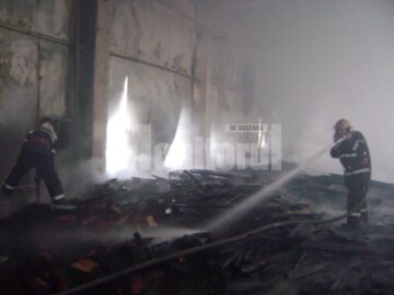 Incendiu devastator la Forestfalt Fălticeni