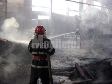 Incendiu devastator la Forestfalt Fălticeni