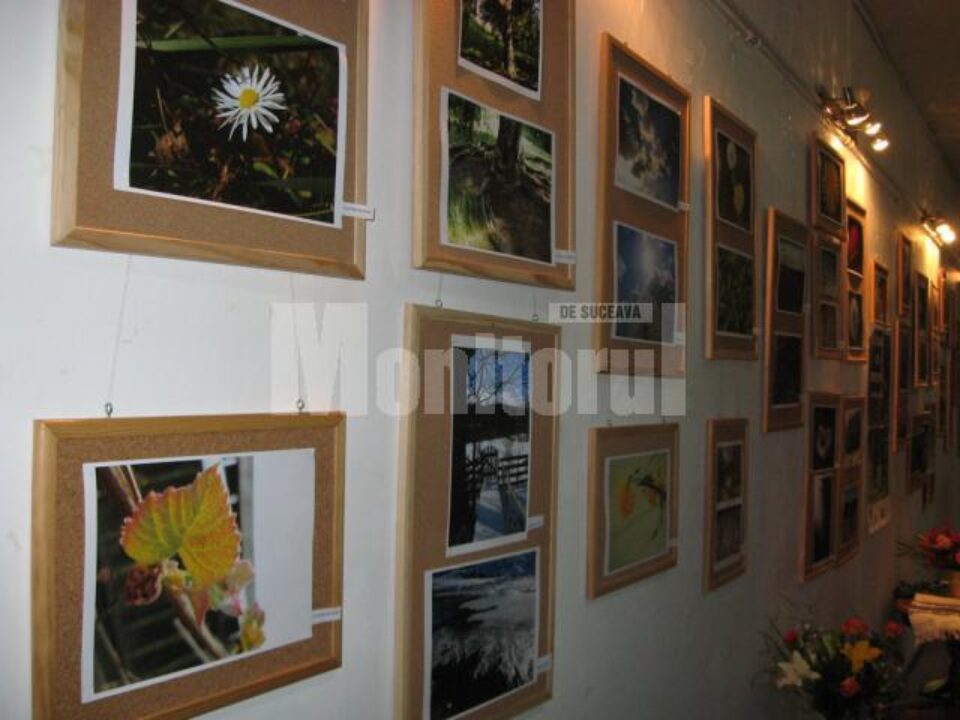 Expoziția Culoare de Bucovina