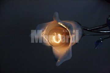 Un bec luminează cât un opaiț, a spus o săteancă