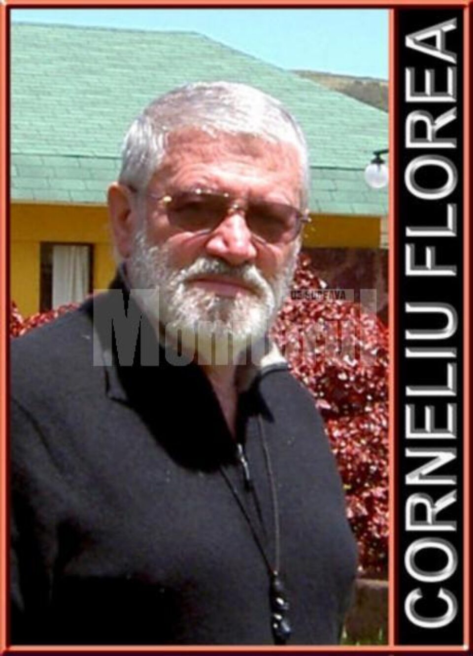 Corneliu Florea