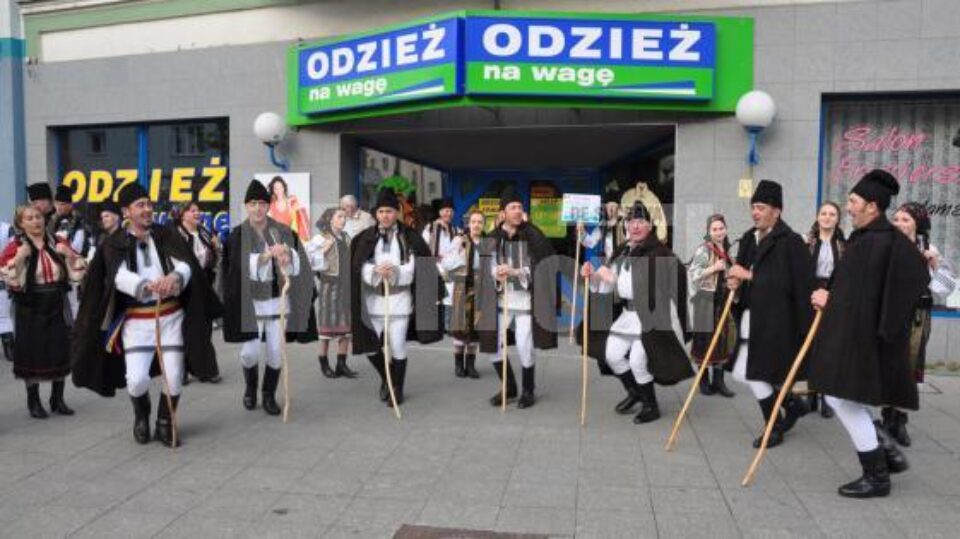 Cetina Călimanului Cetina Călimanului