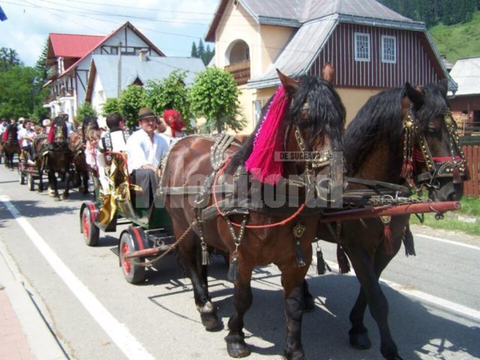 Festivalul „Țara Fagilor” de la Putna