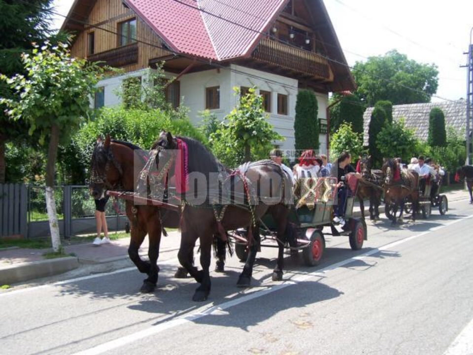 Festivalul „Țara Fagilor” de la Putna