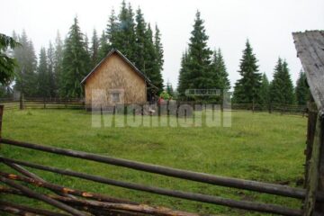 Stâna de la Șaru Dornei unde s-a petrecut nenorocirea