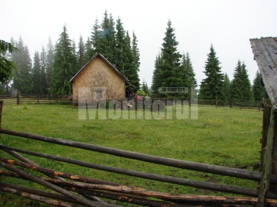 Stâna de la Șaru Dornei unde s-a petrecut nenorocirea