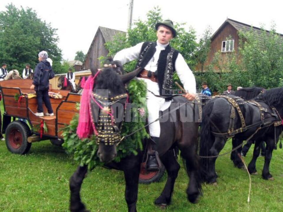 Spectacole organizate cu ocazia celei de-a treia ediții a festivalului „Țara Fagilor, în Moldova lui Ștefan cel Mare”