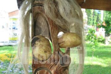Barabula nu mai constituie o soluție pentru ieșirea din criză