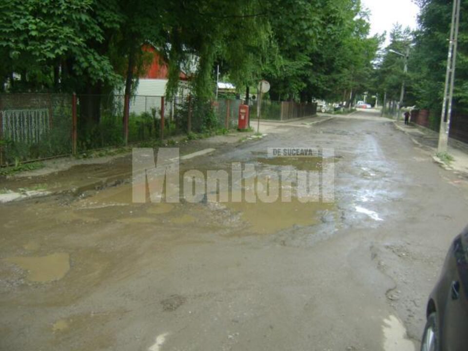 Așa arată strada Trandafirilor, chiar lângă Poliție