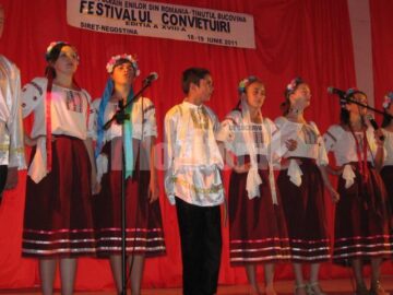 Ansamblul Nehostynka