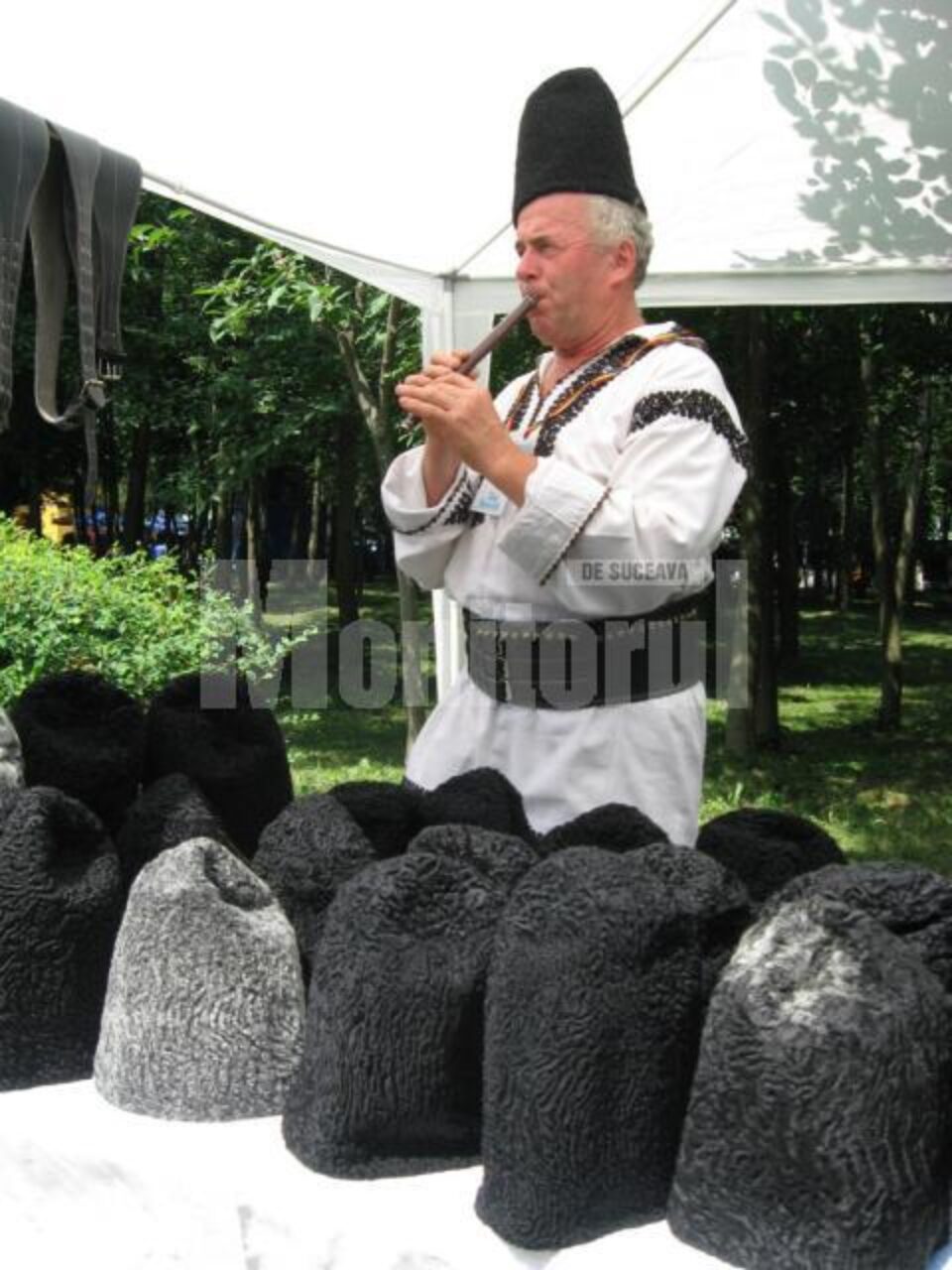 Badea Costică de la Joldești