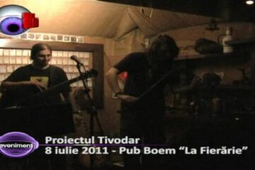 Proiectul Tivodari – “un amestec greu de definit”