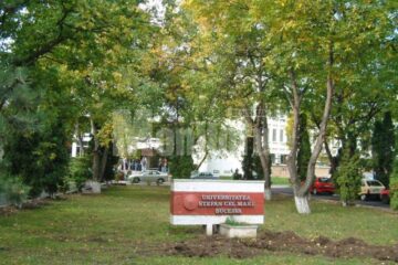 Startul înscrierii la cele nouă facultăți din cadrul Universității „Ștefan cel Mare” se dă astăzi