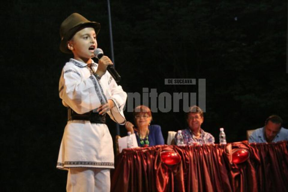 Mic interpret de muzică populară