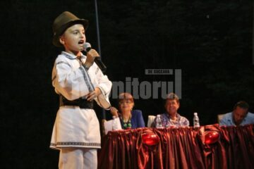 Mic interpret de muzică populară