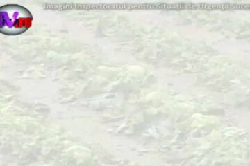 Drumuri blocate de copaci doborâți de furtună