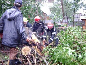 Pompierii trimiși să taie copacii căzuți peste case și drumuri