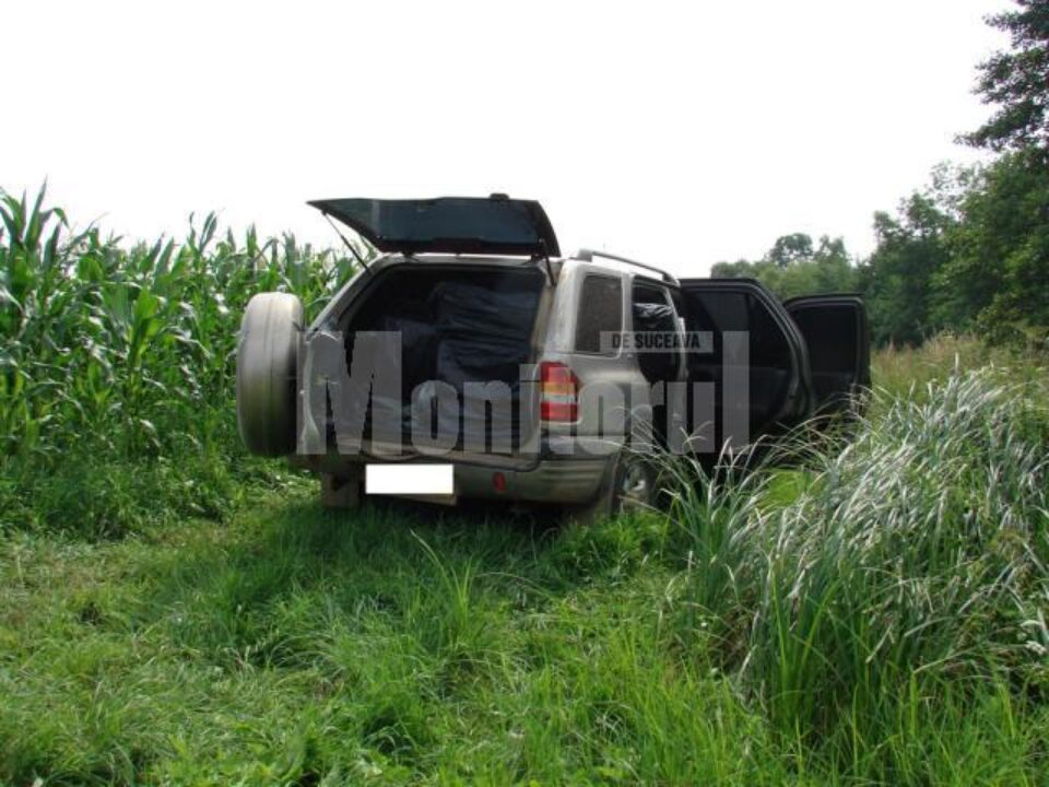 Mașina de teren a fost găsită abandonată într-un lan de porumb