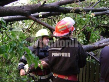 Pompierii trimiși să taie copacii căzuți peste case și drumuri