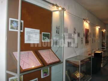 Expoziția Colecția Ștefan Negru