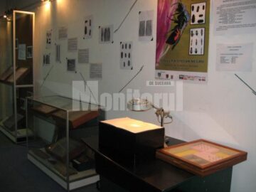 Expoziția Colecția Ștefan Negru