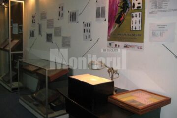 Expoziția Colecția Ștefan Negru