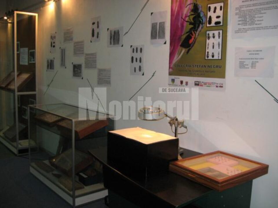 Expoziția Colecția Ștefan Negru