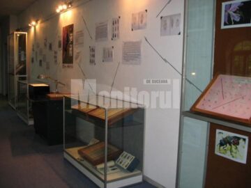 Expoziția Colecția Ștefan Negru