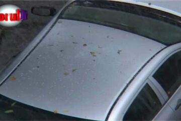 Străzi inundate și copaci căzuți după o furtună cu gheață